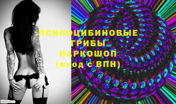 хмурый Алексеевка
