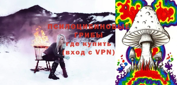 хмурый Алексеевка