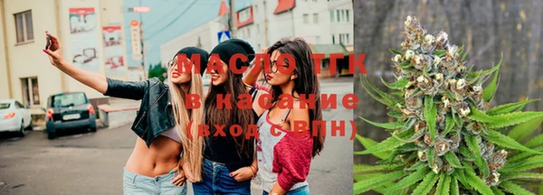 гашик Алзамай