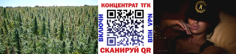 ТГК концентрат  Лагань 