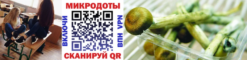 Псилоцибиновые грибы мицелий  Лагань 